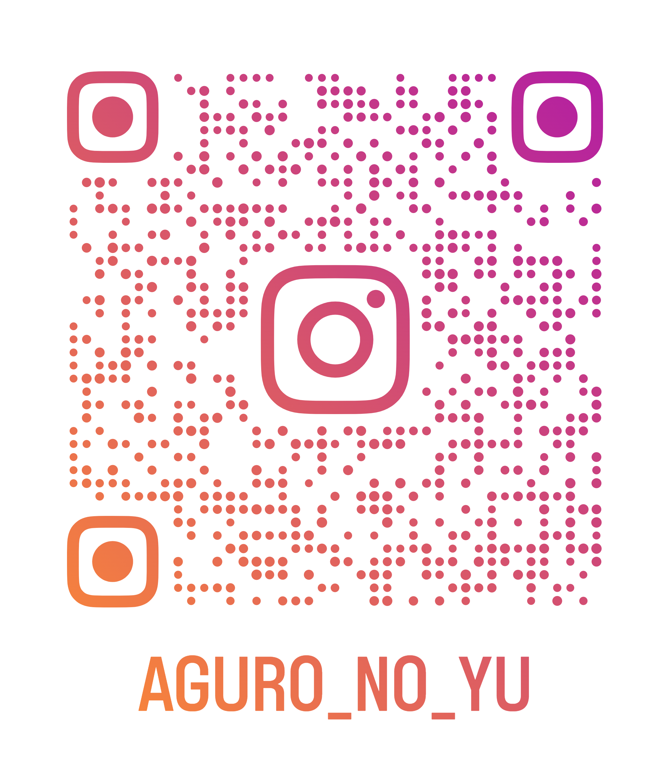 instagram QR